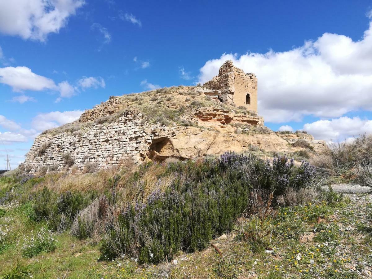 Вилла Ca L'Aviador Sarroca de Lerida Экстерьер фото